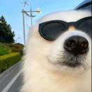 user icon